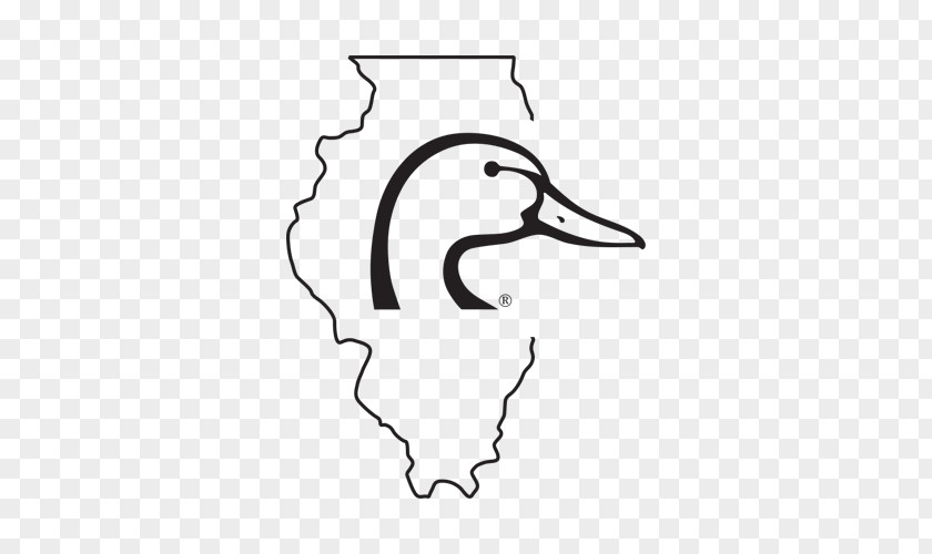 North Carolina Ducks Unlimited Organization Wetland Conservation Movement PNG