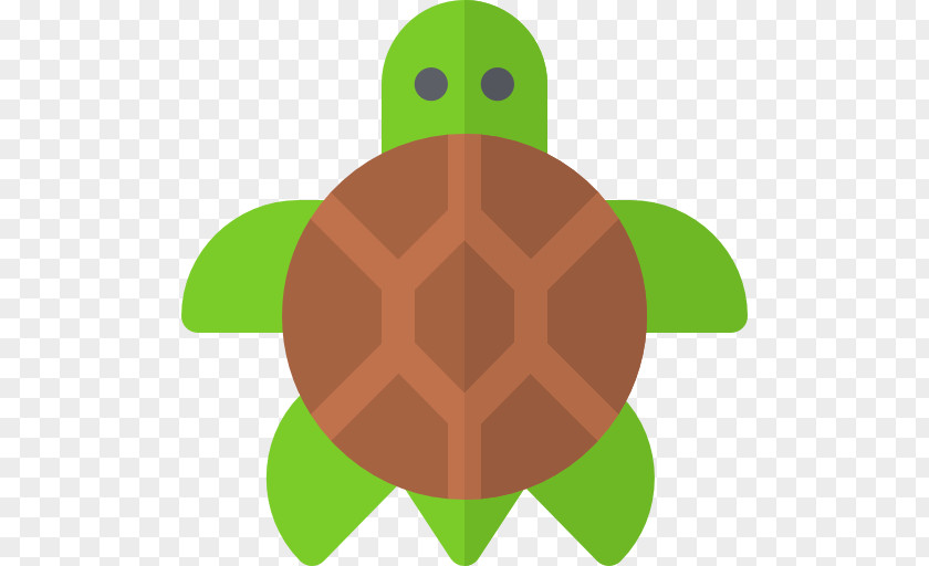 Turtle Icon Tortoise Sea Roblox PNG