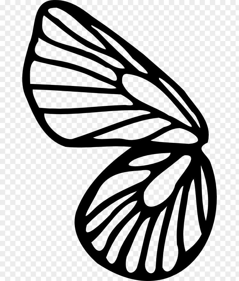 Butterfly Drawing Coloring Book Line Art Clip PNG