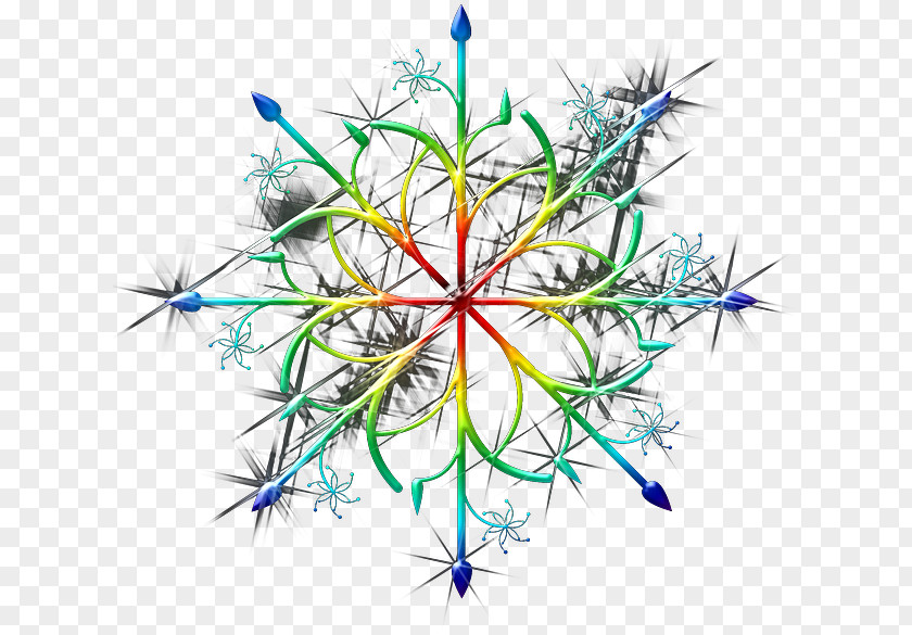 Fractal Art Plant Snowflake Cartoon PNG