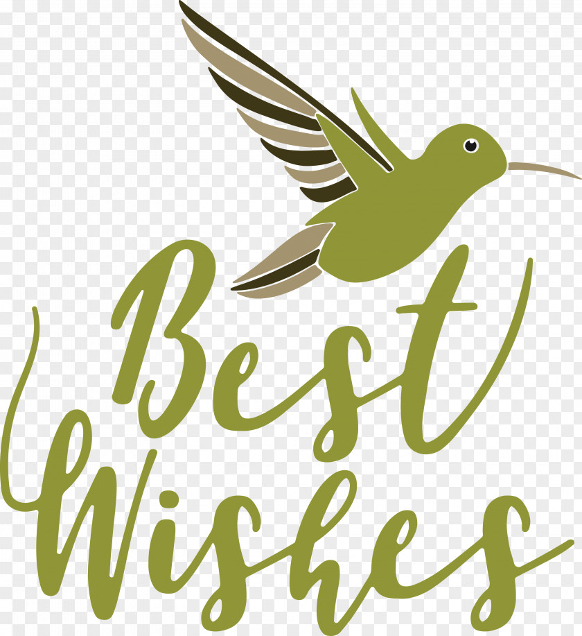 Hummingbirds Logo Green Beak Pollinator PNG