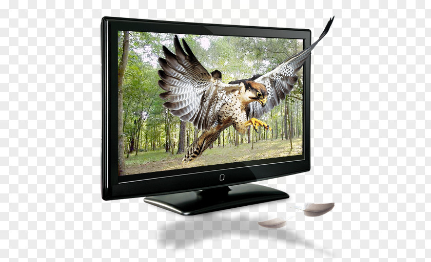 Creative TV Element 1080p High-definition Television Digital Set PNG