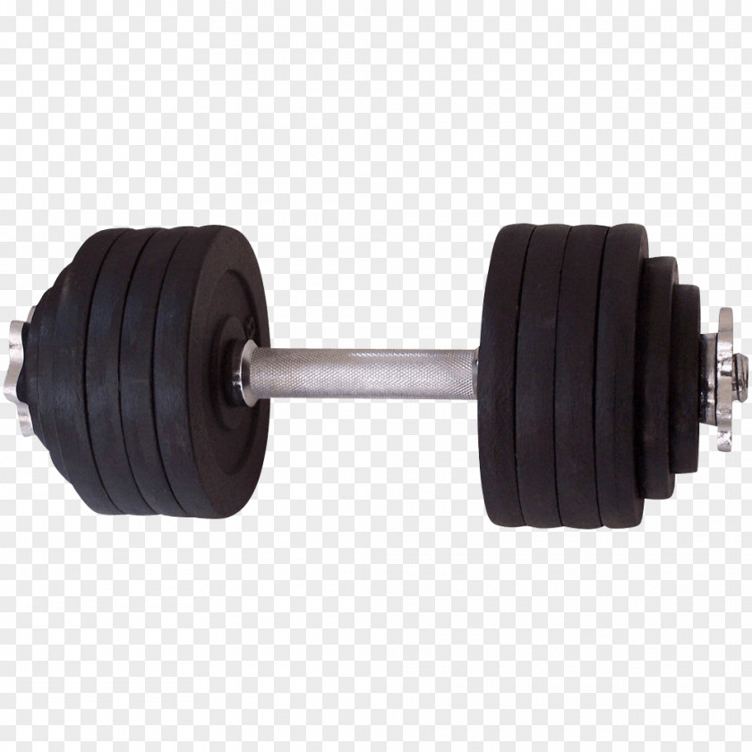 Dumbbell Weight Training Fitness Centre Physical Exercise Barbell PNG