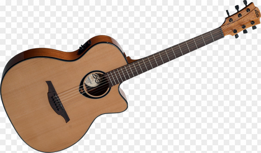 Agricultural Products Dreadnought Steel-string Acoustic Guitar Acoustic-electric Lag PNG