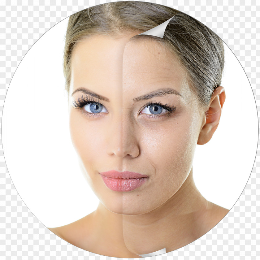 Anti-aging Cream Ageing Wrinkle Life Extension Therapy PNG