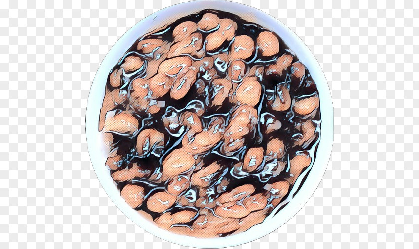 Common Bean Plate Mussel PNG