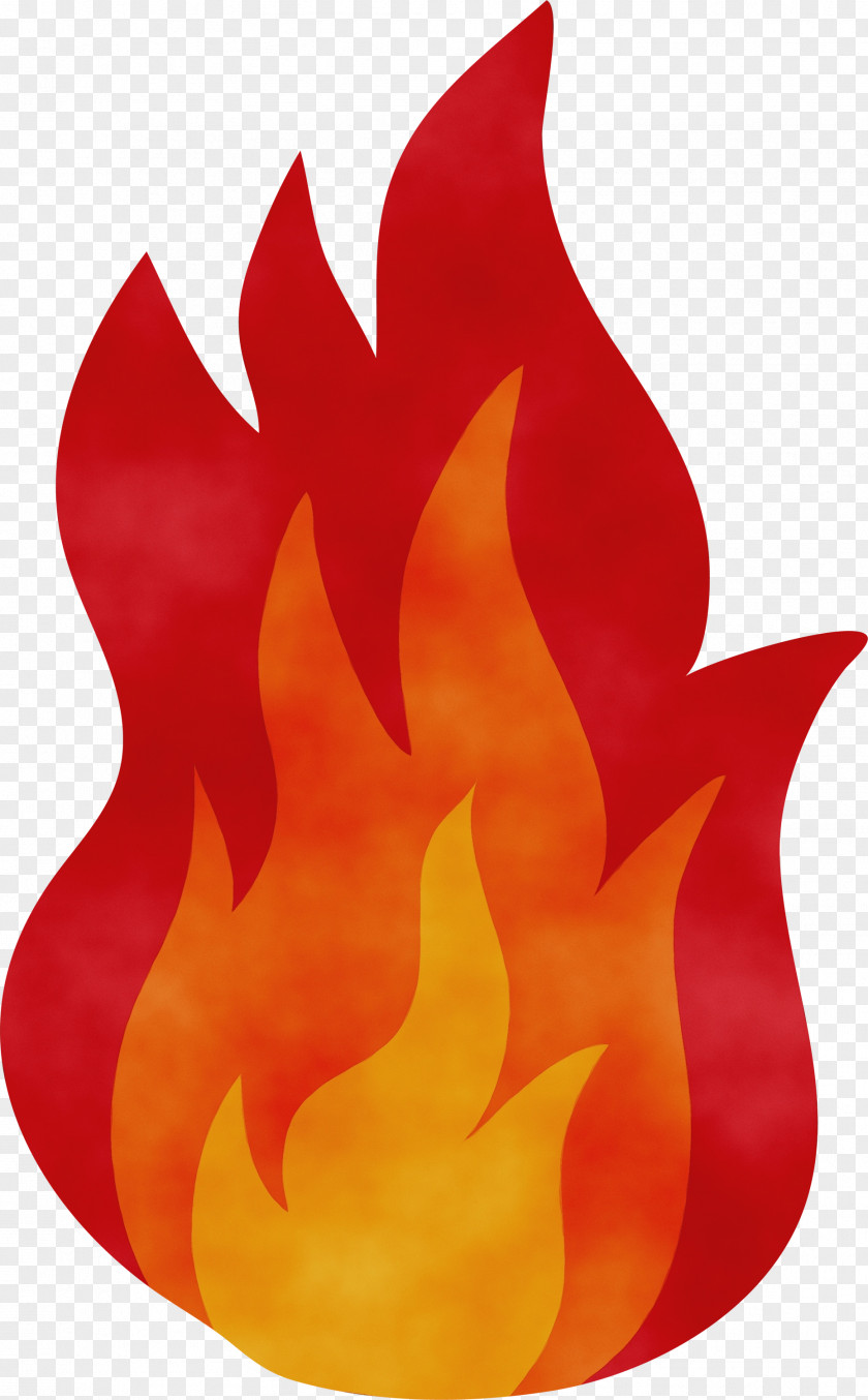 Petal Flame PNG