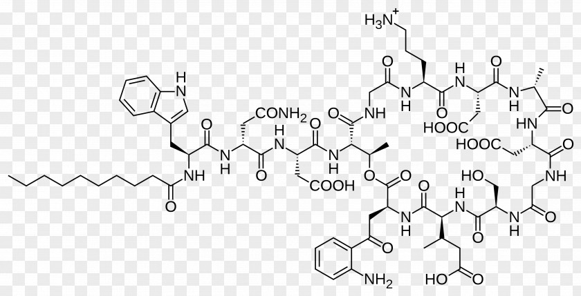 Structurebased Drug Discovery Daptomycin Antimicrobial Peptides Lipopeptide Antibiotics PNG