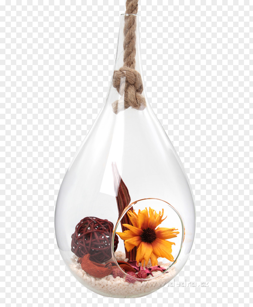 Vase Glass Bottle PNG