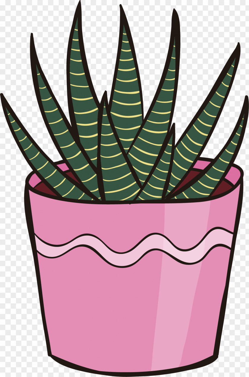 Aloe Vector Line Euclidean PNG