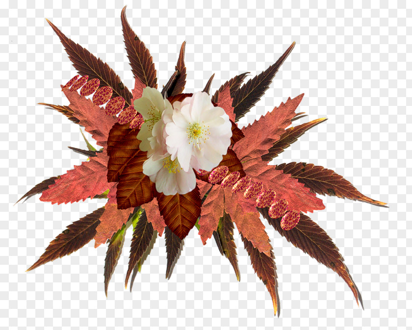 Autumn Image Flower PNG