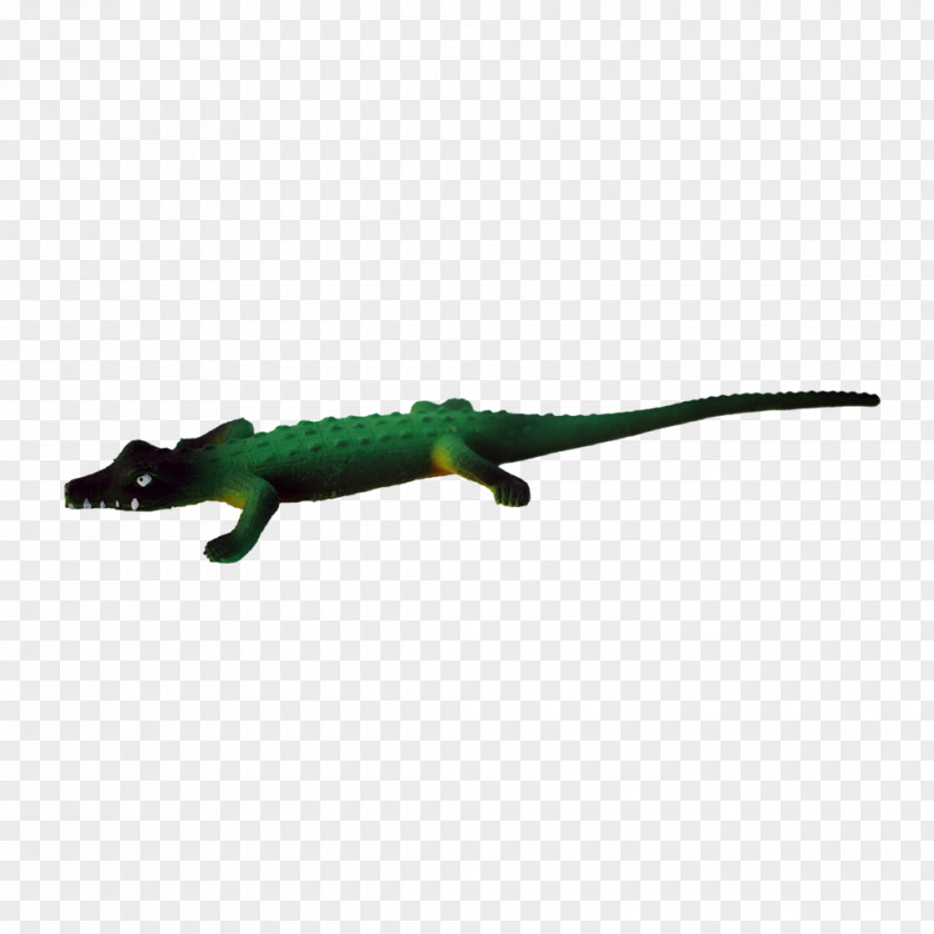 Backscratcher Velociraptor Fauna Crocodiles Animal PNG