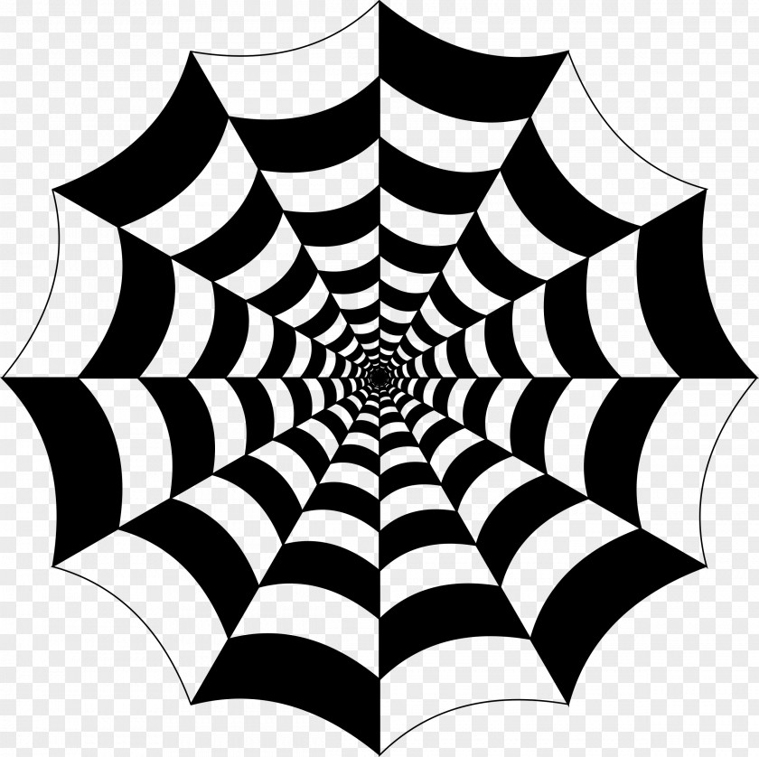 Checkered Spider Web Clip Art PNG