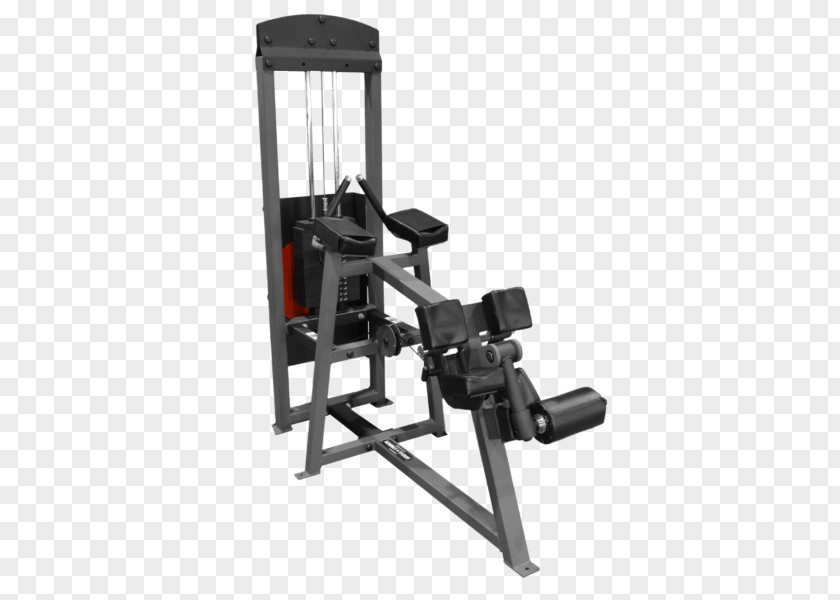 Design Weightlifting Machine Fitness Centre PNG