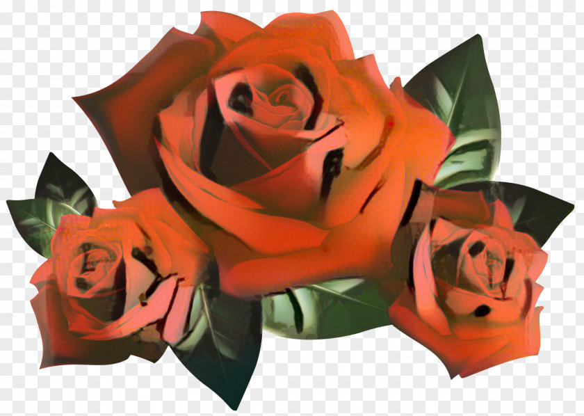 Desktop Wallpaper Garden Roses Photograph Red PNG