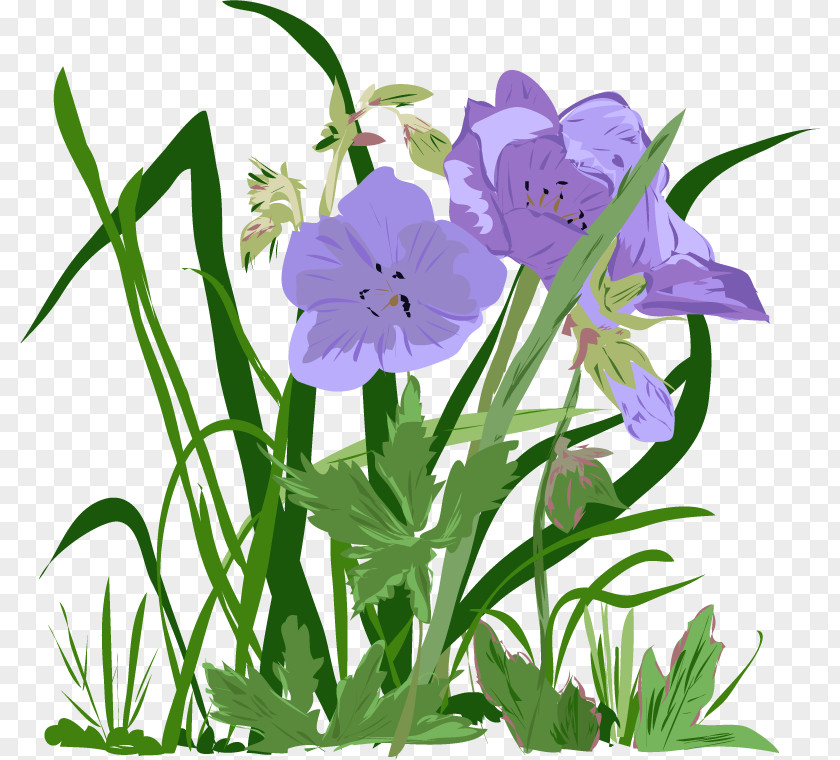 Einfach Nur Eine Wiese Harebell Bellflower Plant Stem Cut Flowers Herbaceous PNG