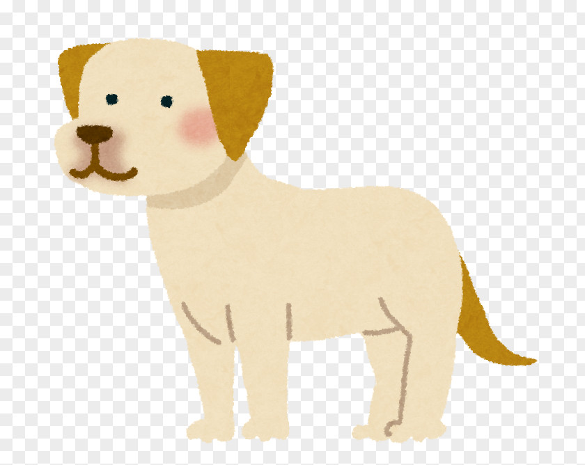 Labrador Retriever Golden Pet Puppy Dog Breed PNG