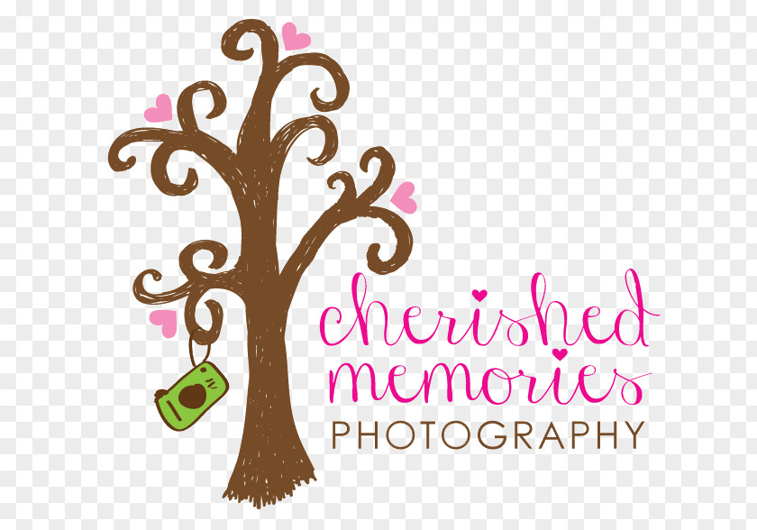 Session Photographer Cherished Memories Photography Child Infant PNG