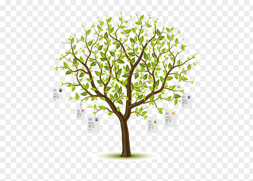 Tree Clip Art Vector Graphics Image Illustration Royalty-free PNG