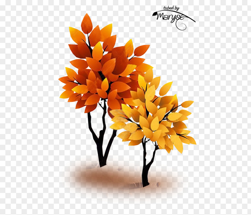 Autumn Keeping Current Matters Landscape Floral Design PNG