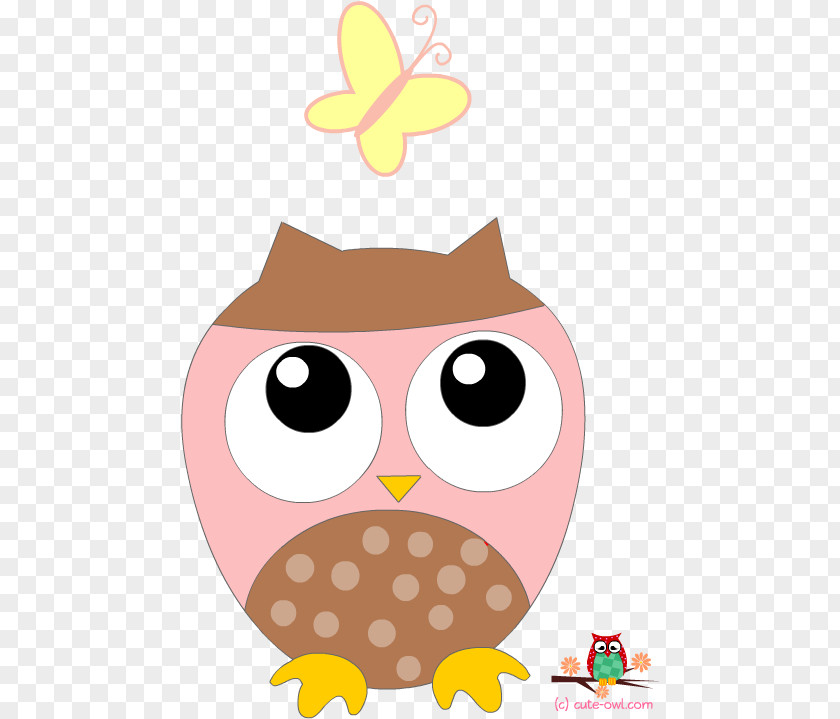 Bird Of Prey Owl Cartoon PNG