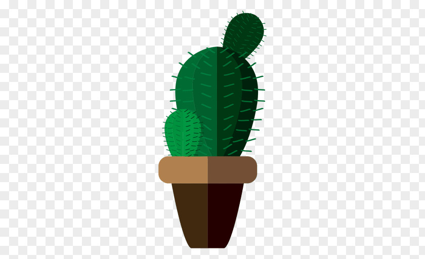 Cactus Drawing Illustration Vector Graphics PNG