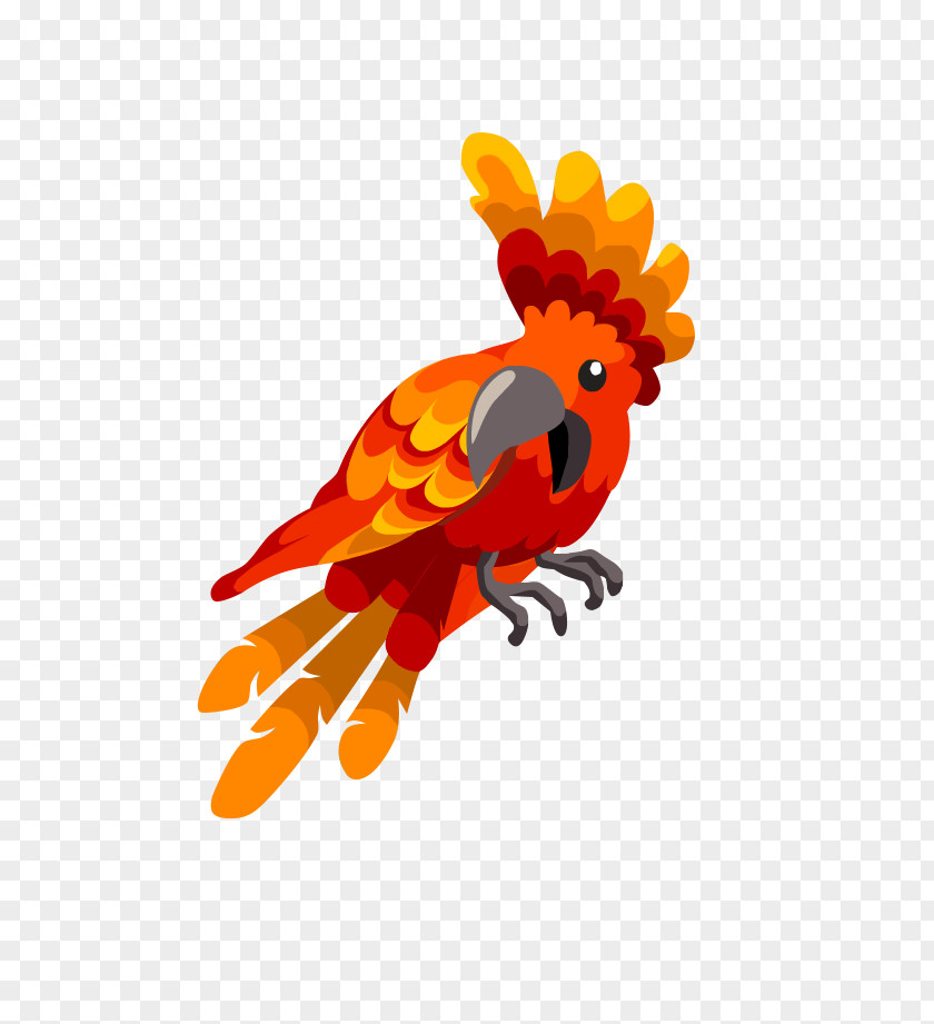 Chicken Bird Pollinator Clip Art PNG