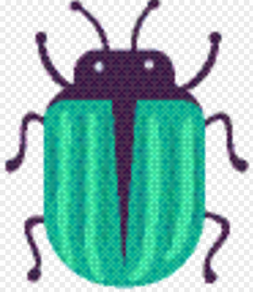 Darkling Beetles Ground Beetle Leaf Background PNG