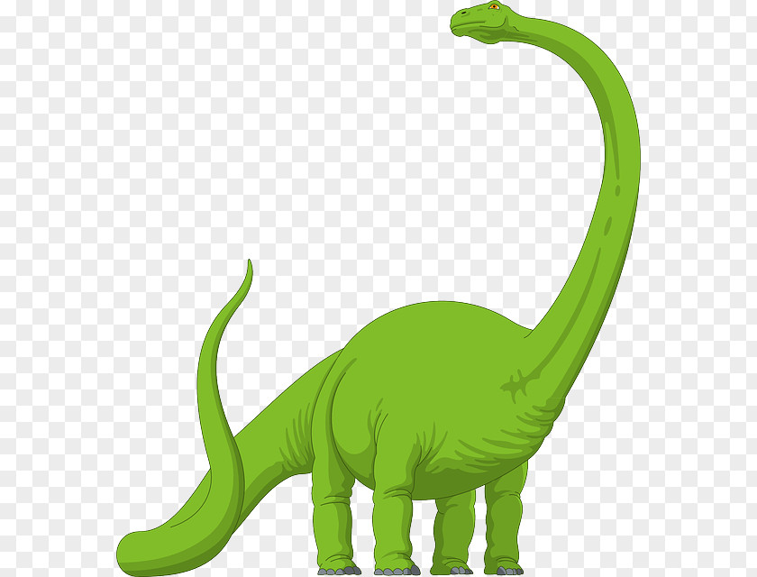 Dinosaur Tail Cliparts Brachiosaurus Diplodocus Megalosaurus Apatosaurus PNG