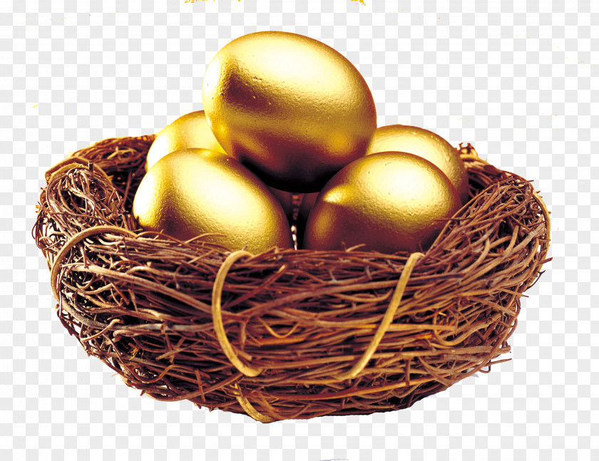 Eggs,egg Gold Business Loan Finance PNG