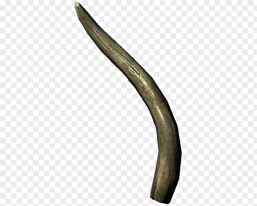 Elephant The Elder Scrolls V: Skyrim – Dragonborn Tusk Mammoth Fang PNG