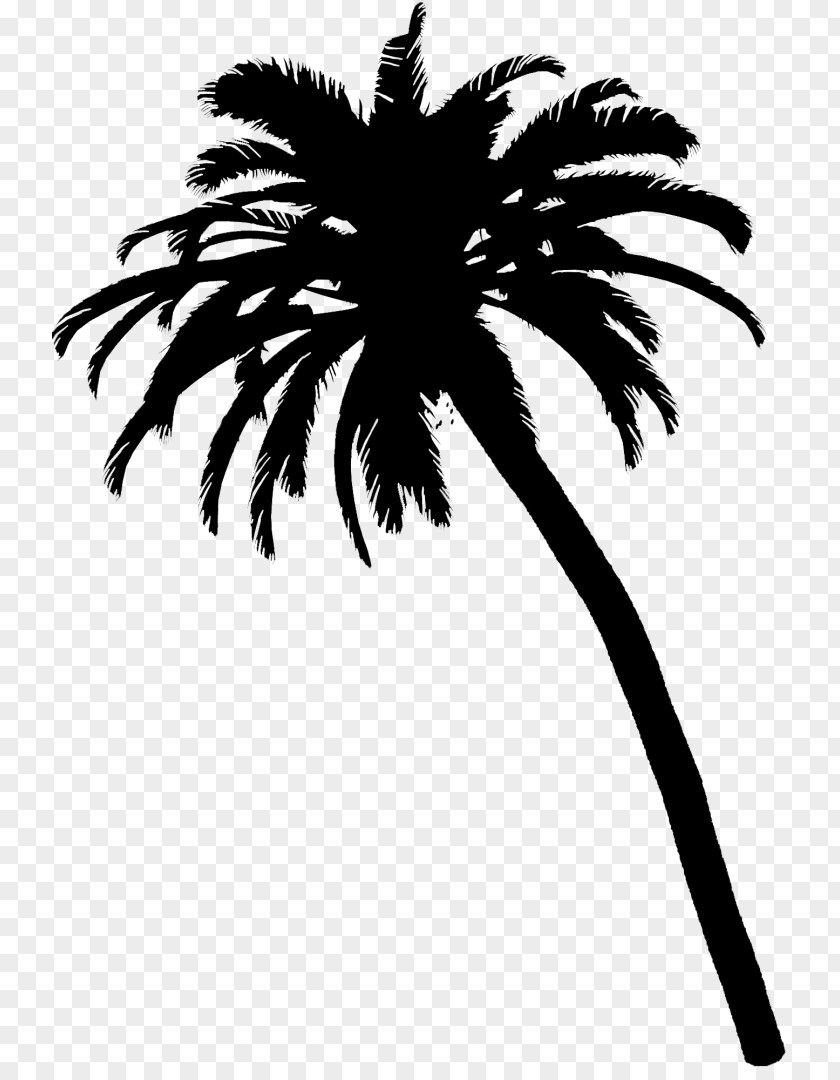M Palm Trees Date Leaf Flower Black & White PNG