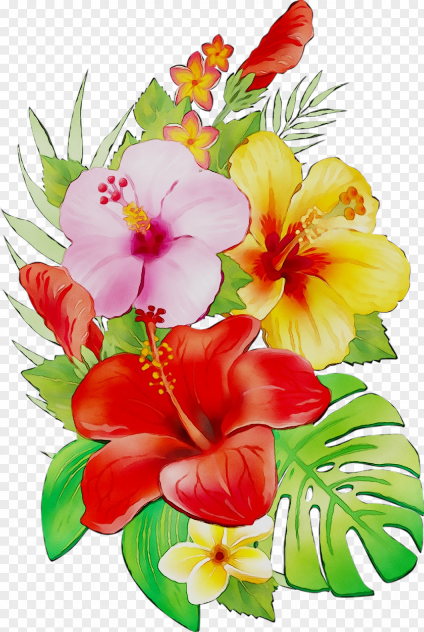Rosemallows Floral Design Cut Flowers Flower Bouquet PNG