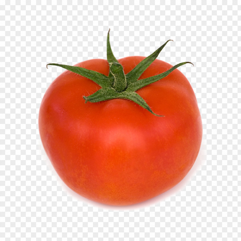 Tomato Plum Bush Vegetable Green PNG