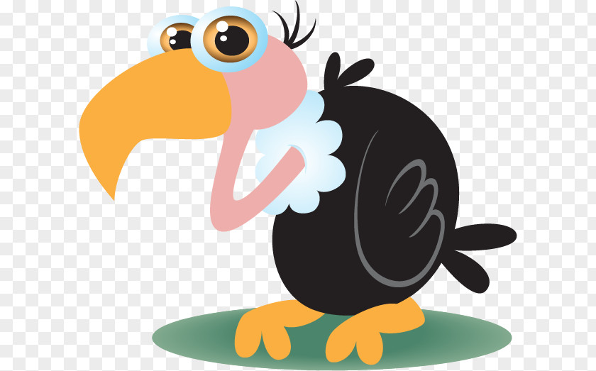 Vector Cute Bald Black Ostrich Bird Cartoon Illustration PNG