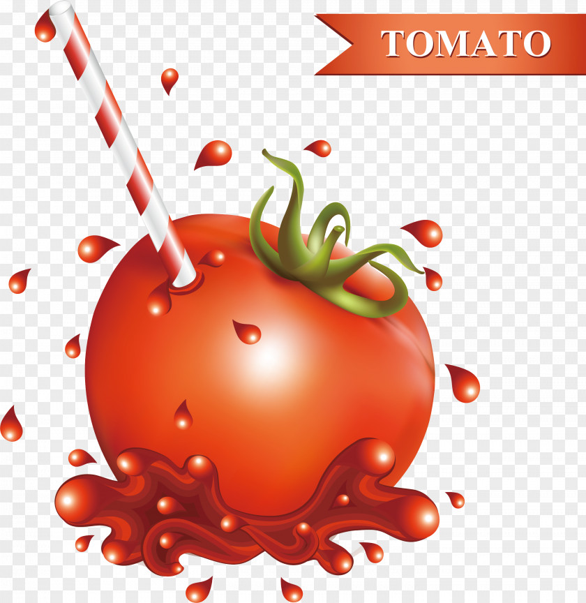Vector Tomato Juice Hamburger Cherry Ketchup PNG