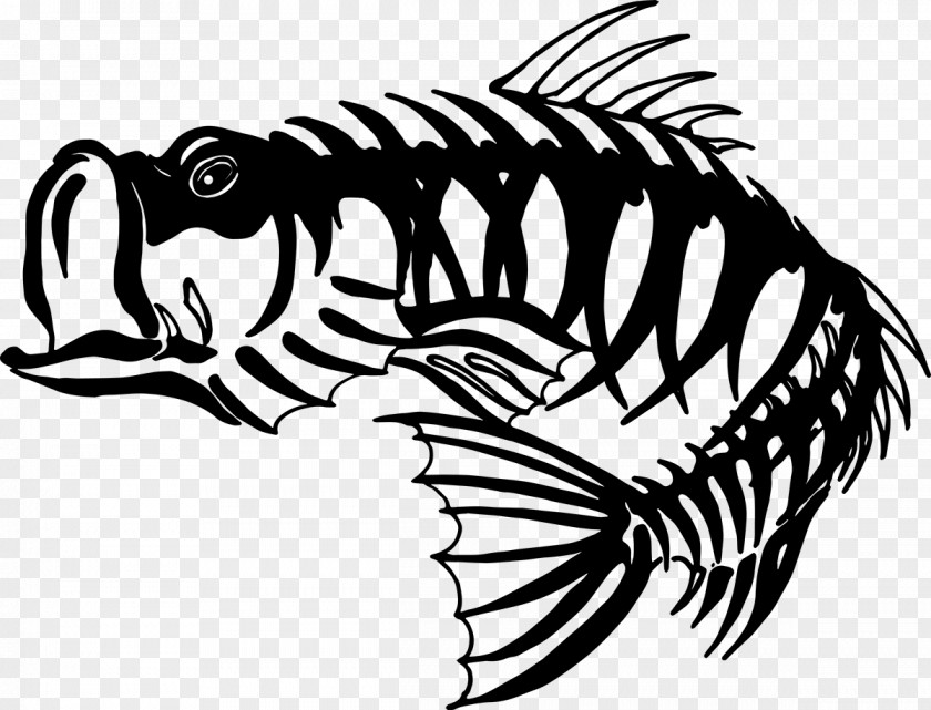 Bass Skeleton Cliparts Fishing Clip Art PNG