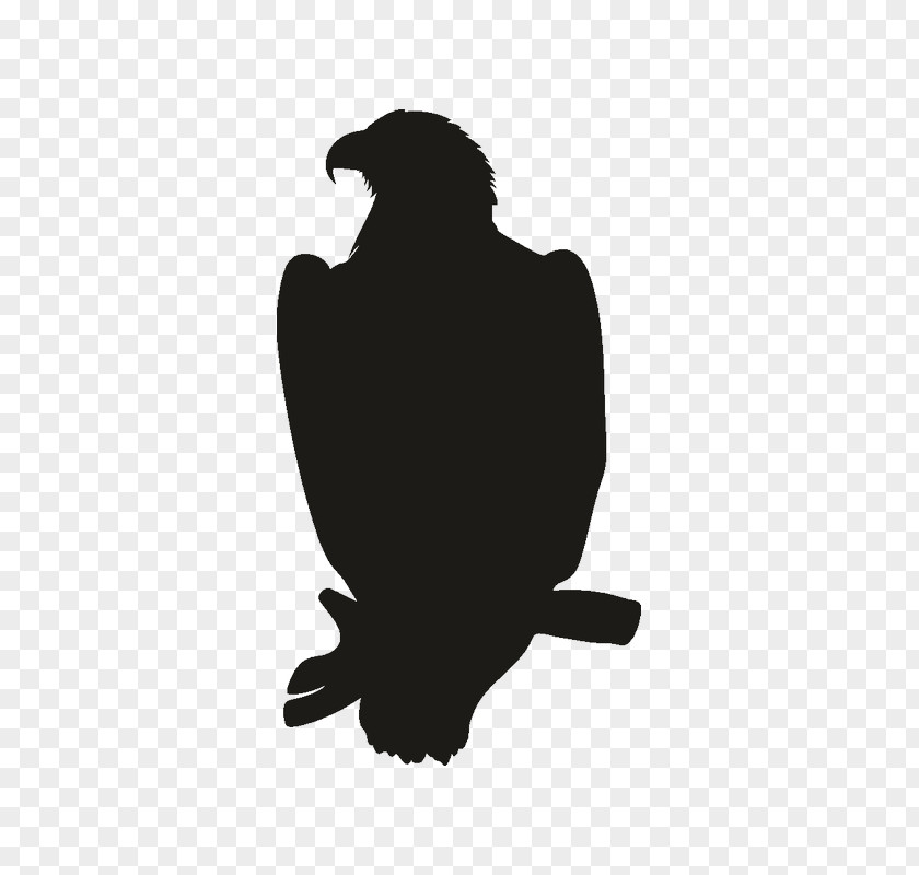Logo Wildlife Eagle PNG