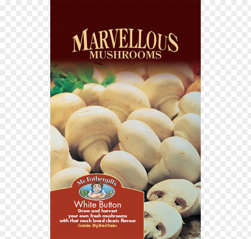 Mushroom Common Edible Ingredient Fungus PNG