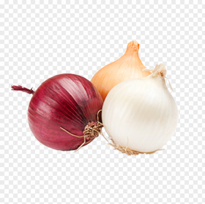 Onion White Vegetable Fruit Food PNG