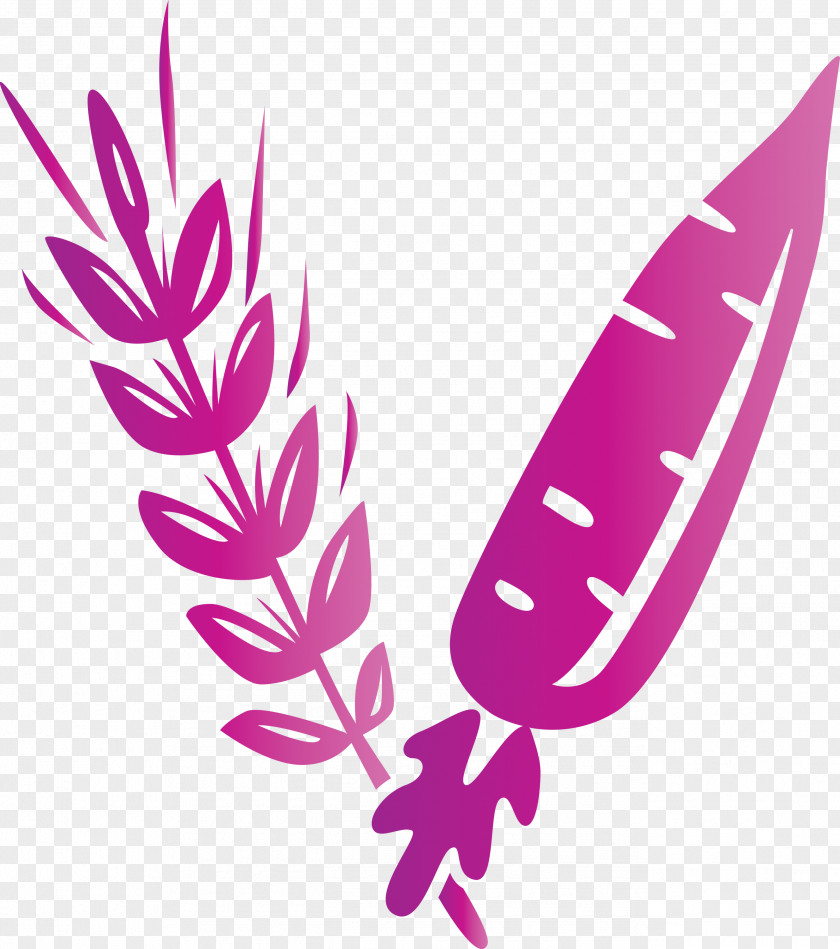 Petal Leaf Pink M Meter Biology PNG