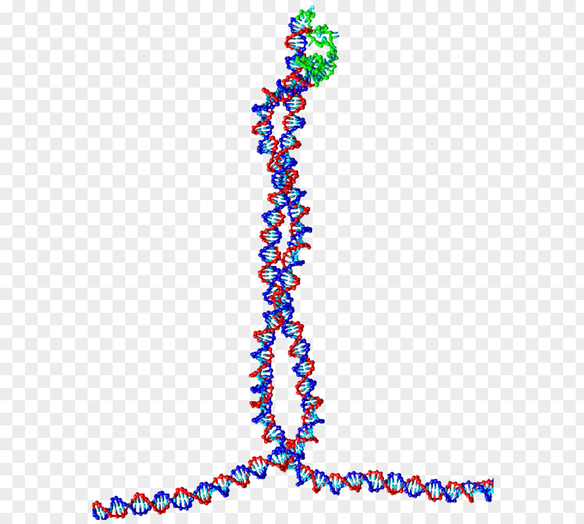 Tetrahedral Opening DNA Bead Nucleic Acid Double Helix Drug Delivery Capsule PNG