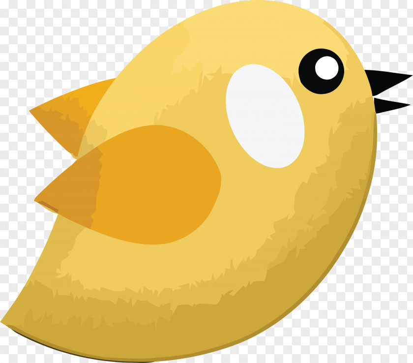 Birds Cartoon Beak Yellow Meter PNG