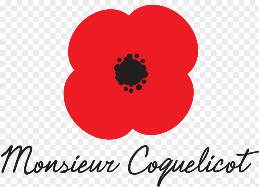 Coquelicot Common Poppy T-shirt Bluza Hoodie PNG