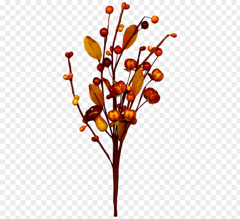 Design Twig Cut Flowers Floral Plant Stem PNG