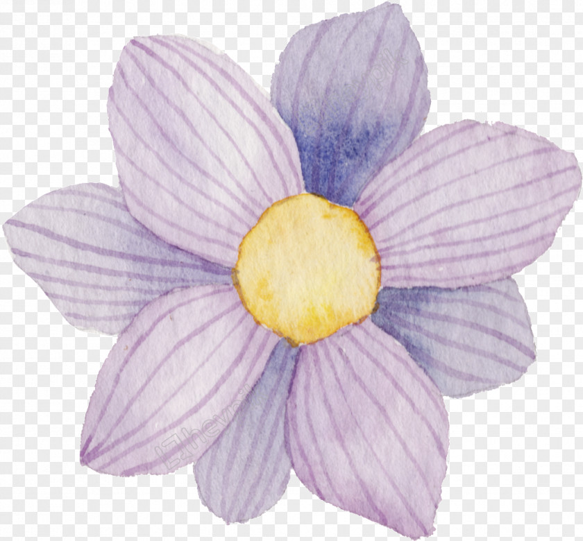 Hand Painted Bear Flower Floral Design Image Purple PNG