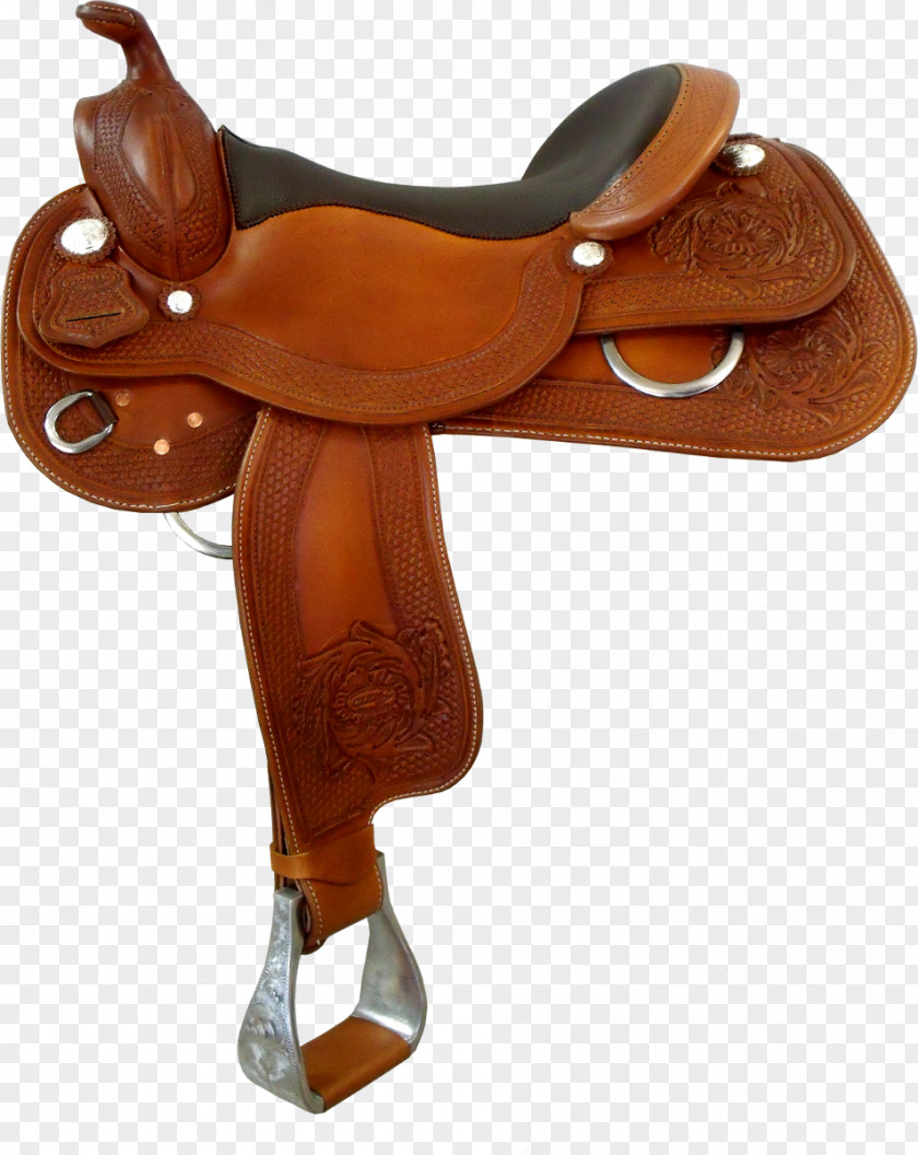 Horse Western Saddle Equestrian Riding PNG