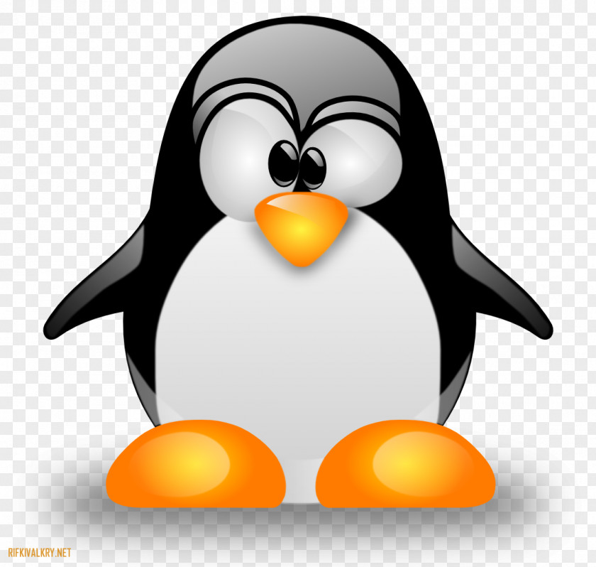 Linux System Administrator Unix Computer Software PNG