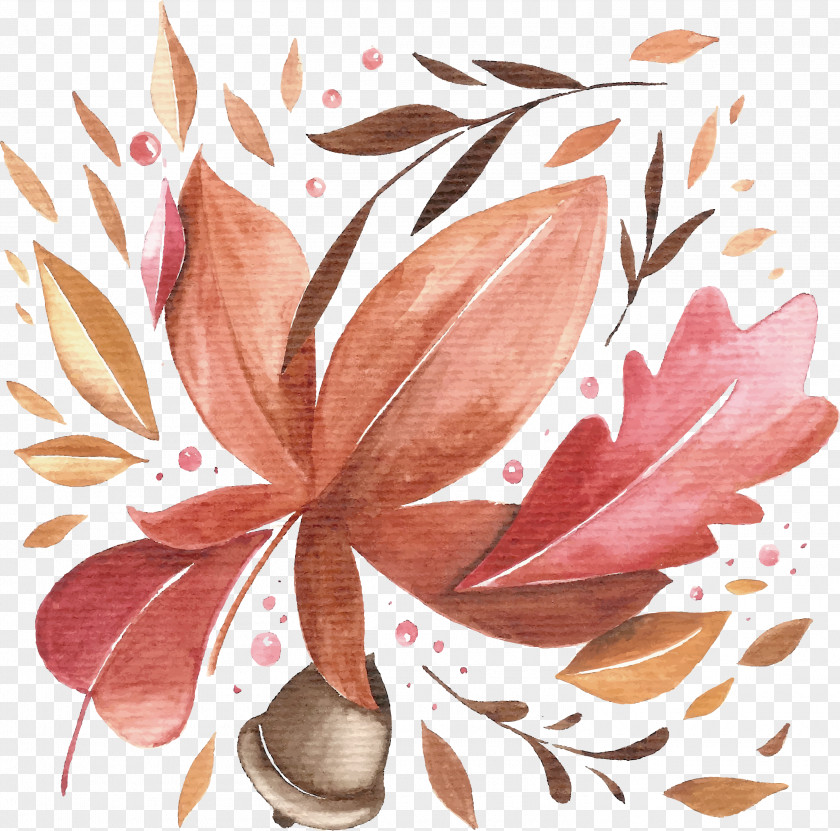 Maple Cones Adobe Illustrator Watercolor Painting PNG