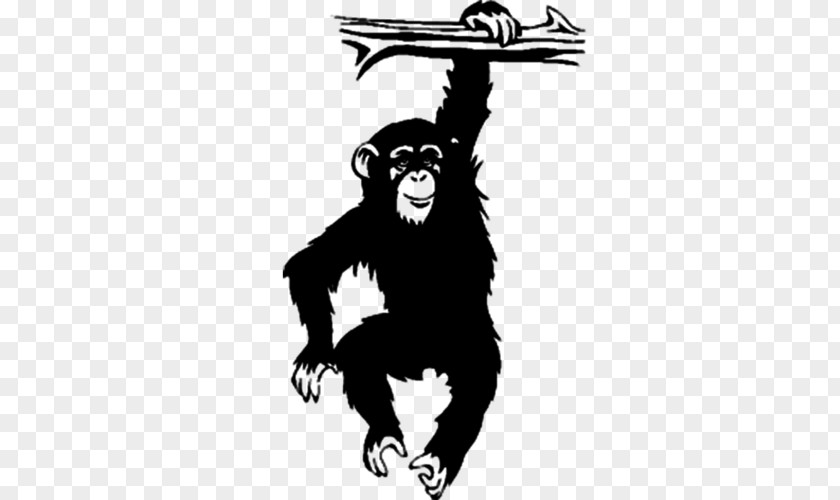 Monkey Chimpanzee Drawing Tree PNG